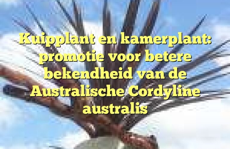 Kuipplant en kamerplant: promotie voor betere bekendheid van de Australische Cordyline australis