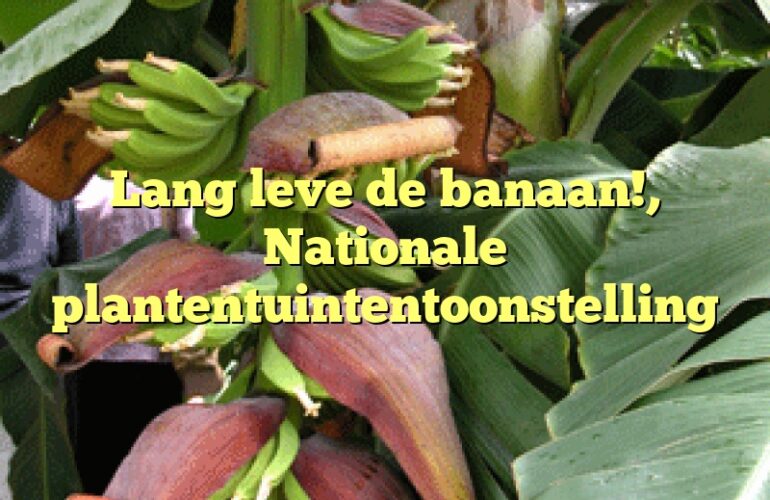 Lang leve de banaan!, Nationale plantentuintentoonstelling