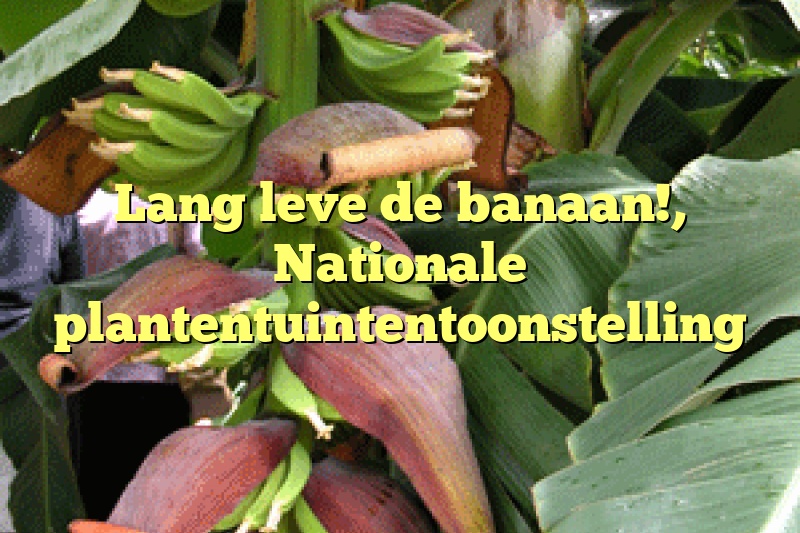 Lang leve de banaan!, Nationale plantentuintentoonstelling