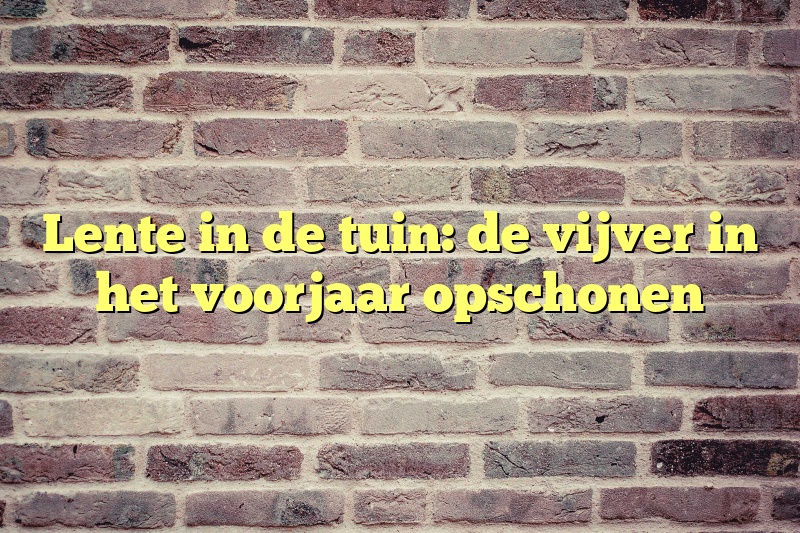 Lente in de tuin: de vijver in het voorjaar opschonen