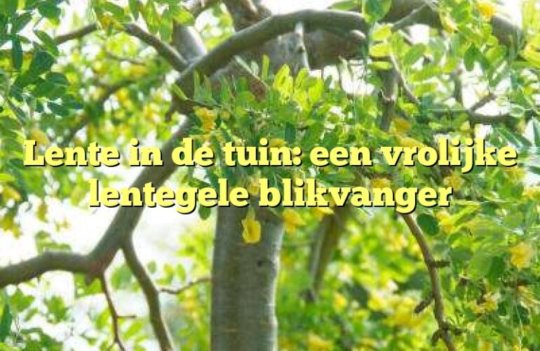 Lente in de tuin: een vrolijke lentegele blikvanger