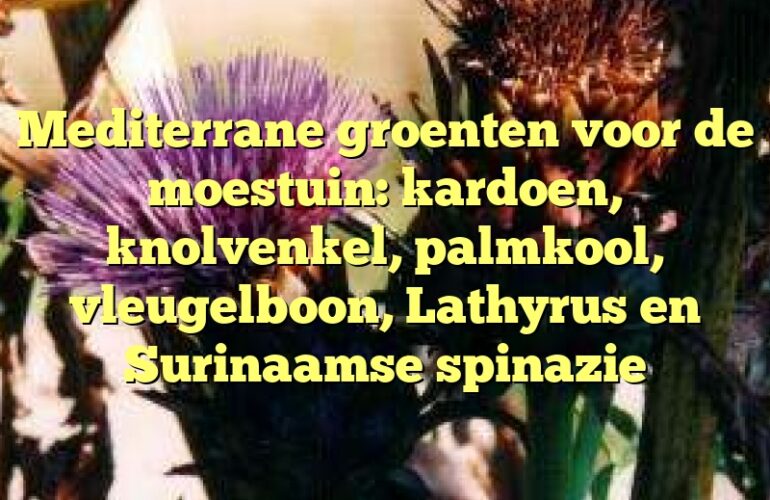 Mediterrane groenten voor de moestuin: kardoen, knolvenkel, palmkool, vleugelboon, Lathyrus en Surinaamse spinazie