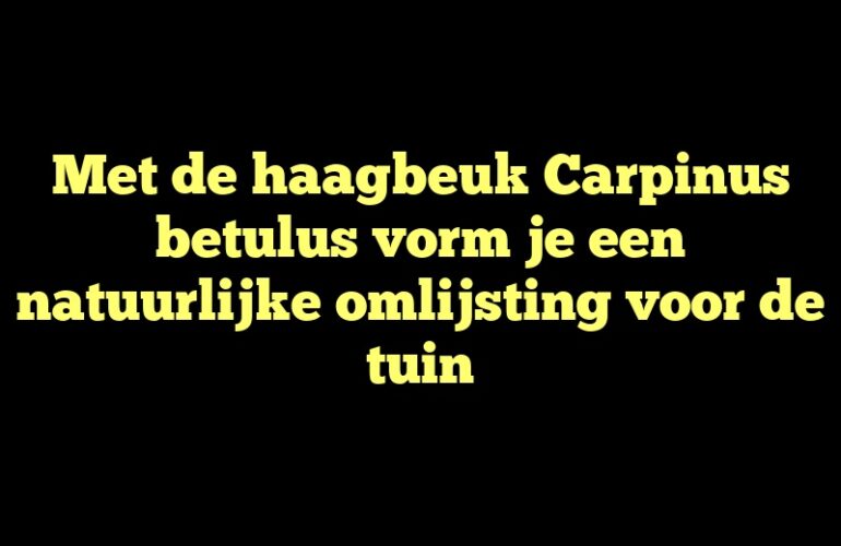 Met de haagbeuk Carpinus betulus vorm je een natuurlijke omlijsting voor de tuin