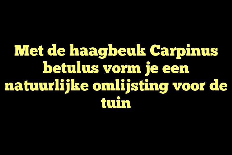 Met de haagbeuk Carpinus betulus vorm je een natuurlijke omlijsting voor de tuin