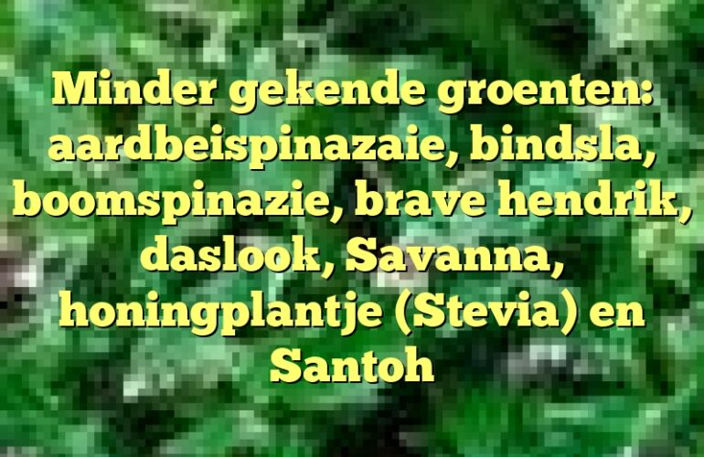 Minder gekende groenten: aardbeispinazaie, bindsla, boomspinazie, brave hendrik, daslook, Savanna, honingplantje (Stevia) en Santoh