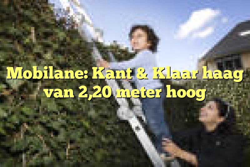 Mobilane: Kant & Klaar haag van 2,20 meter hoog