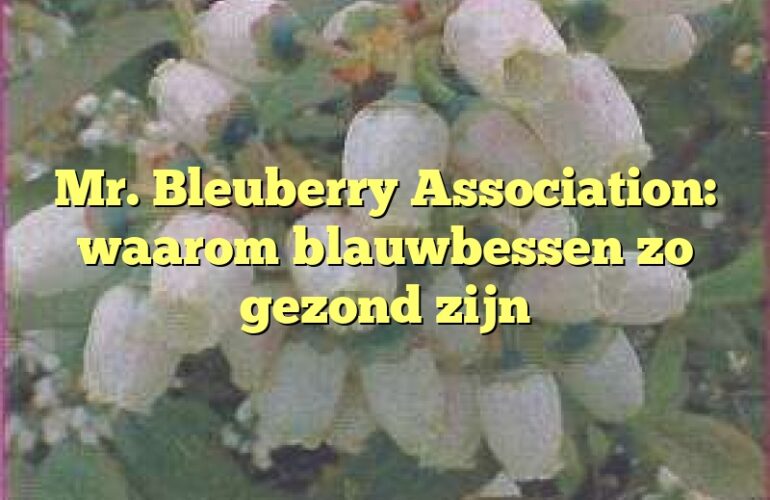 Mr. Bleuberry Association: waarom blauwbessen zo gezond zijn