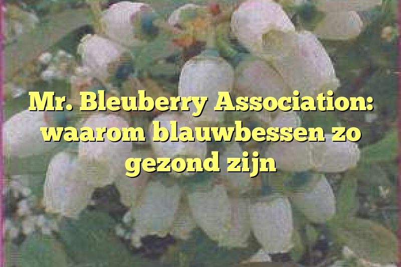 Mr. Bleuberry Association: waarom blauwbessen zo gezond zijn