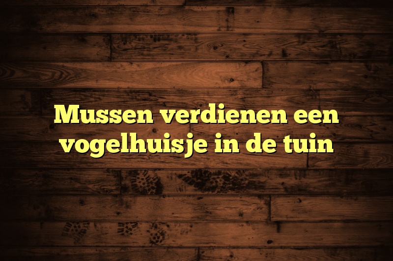 Mussen verdienen een vogelhuisje in de tuin