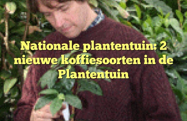 Nationale plantentuin: 2 nieuwe koffiesoorten in de Plantentuin