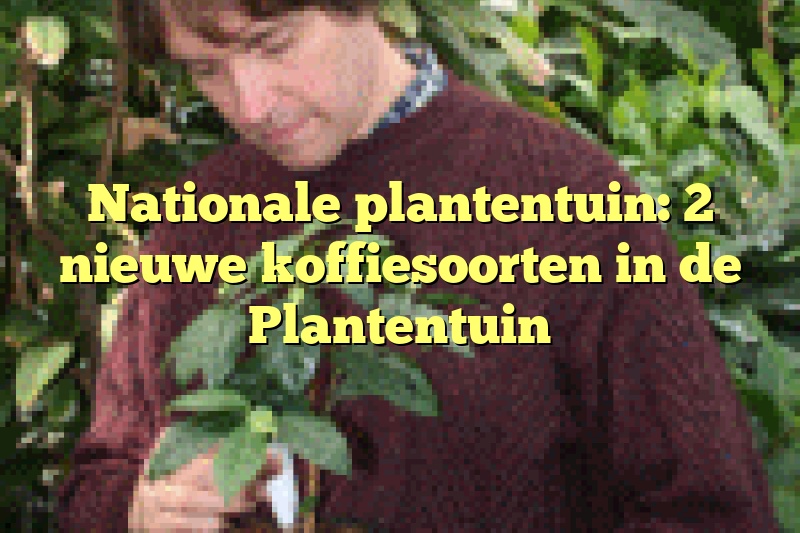 Nationale plantentuin: 2 nieuwe koffiesoorten in de Plantentuin