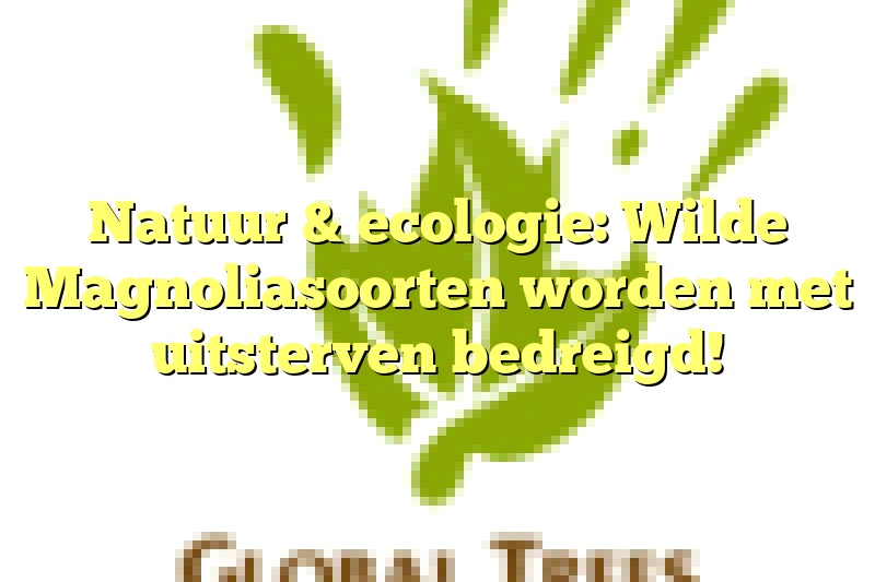 Natuur & ecologie: Wilde Magnoliasoorten worden met uitsterven bedreigd!