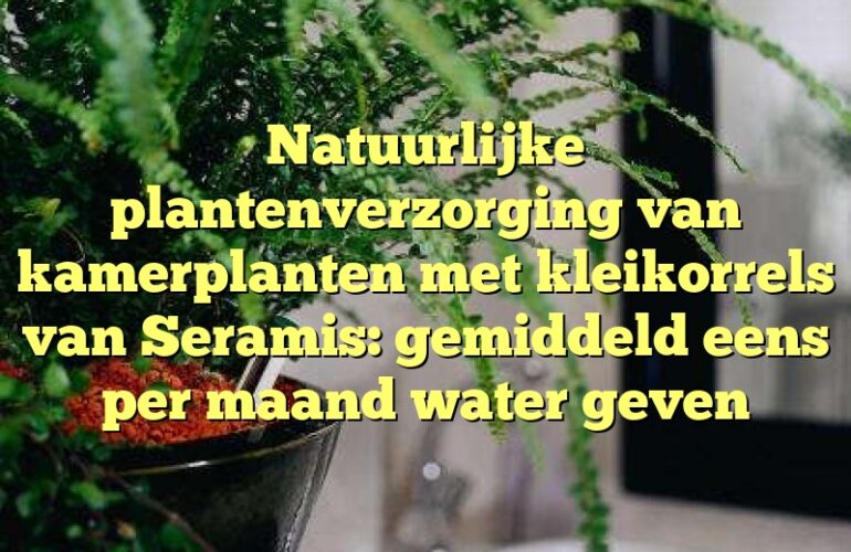 Natuurlijke plantenverzorging van kamerplanten met kleikorrels van Seramis: gemiddeld eens per maand water geven