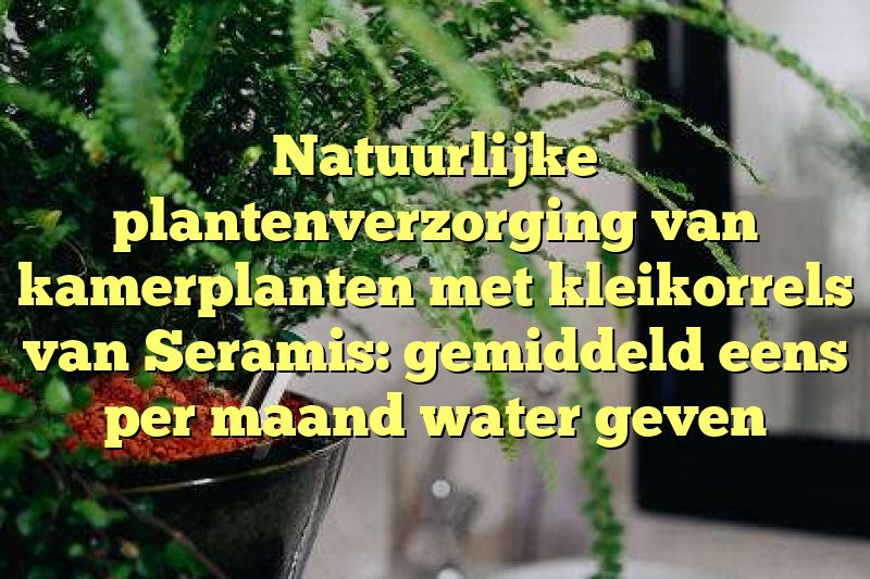 Natuurlijke plantenverzorging van kamerplanten met kleikorrels van Seramis: gemiddeld eens per maand water geven