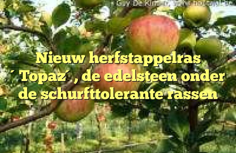 Nieuw herfstappelras ´Topaz´, de edelsteen onder de schurfttolerante rassen