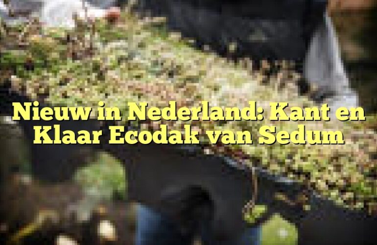 Nieuw in Nederland: Kant en Klaar Ecodak van Sedum