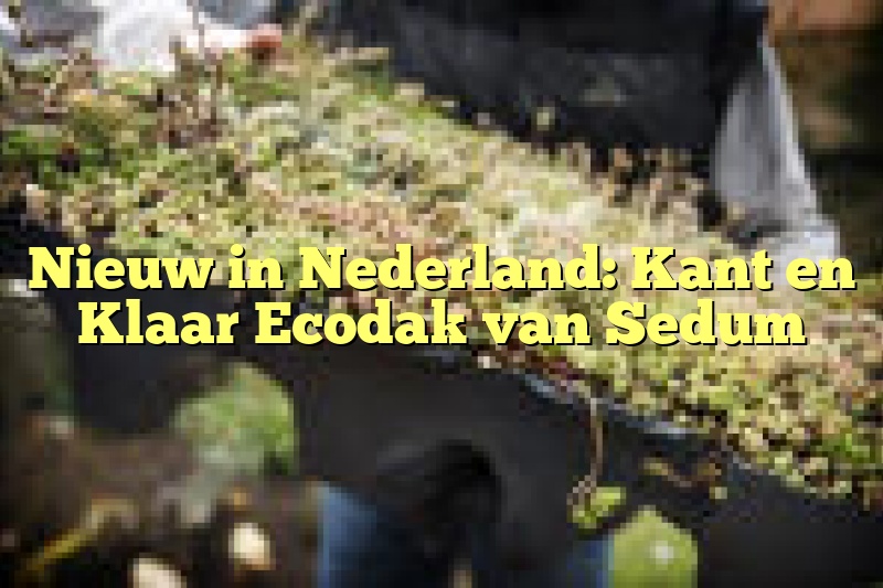 Nieuw in Nederland: Kant en Klaar Ecodak van Sedum