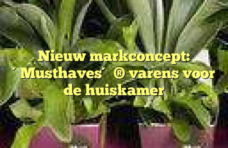 Nieuw markconcept: ´Musthaves´ ® varens voor de huiskamer