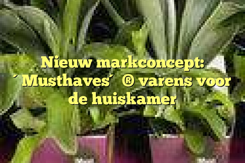 Nieuw markconcept: ´Musthaves´ ® varens voor de huiskamer