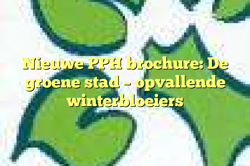 Nieuwe PPH brochure: De groene stad – opvallende winterbloeiers