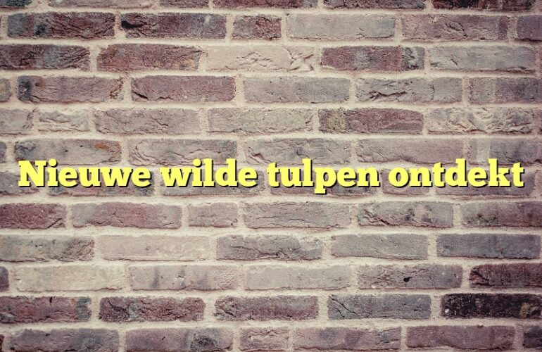 Nieuwe wilde tulpen ontdekt