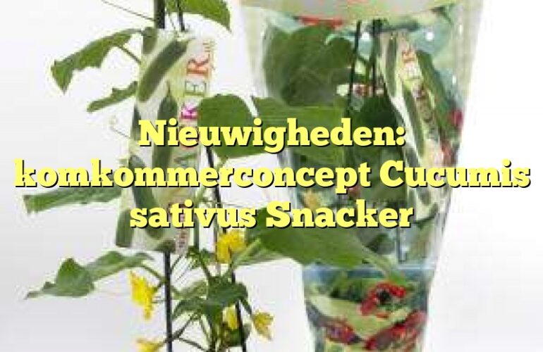 Nieuwigheden: komkommerconcept Cucumis sativus Snacker