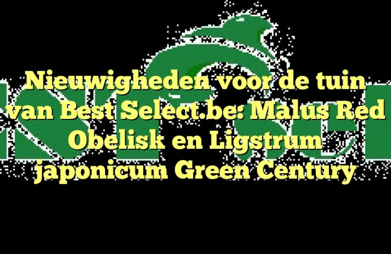 Nieuwigheden voor de tuin van Best Select.be: Malus Red Obelisk en Ligstrum japonicum Green Century