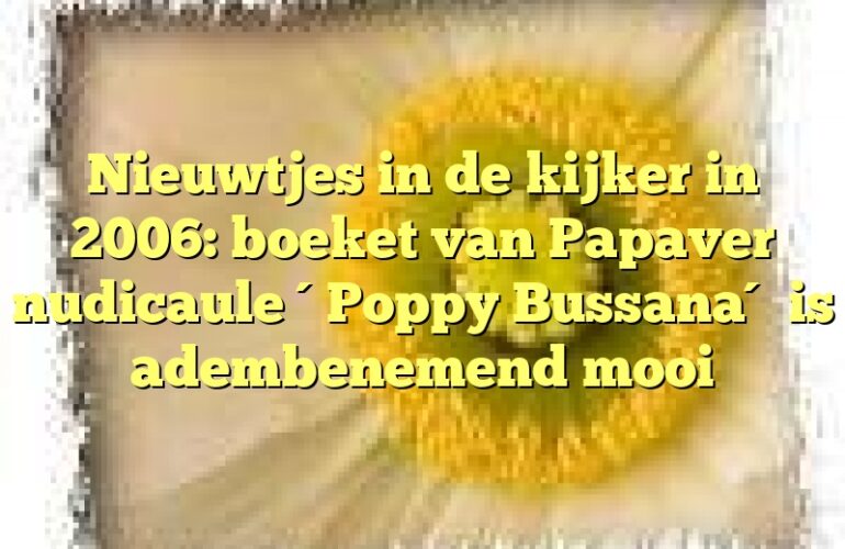 Nieuwtjes in de kijker in 2006: boeket van Papaver nudicaule ´Poppy Bussana´ is adembenemend mooi