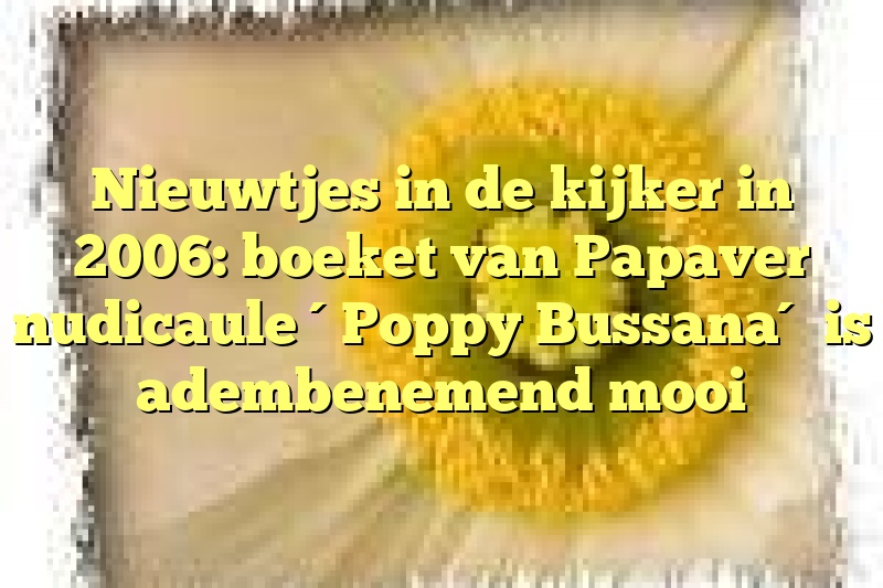 Nieuwtjes in de kijker in 2006: boeket van Papaver nudicaule ´Poppy Bussana´ is adembenemend mooi