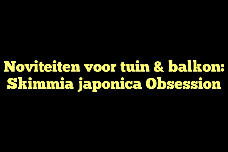 Noviteiten voor tuin & balkon: Skimmia japonica Obsession