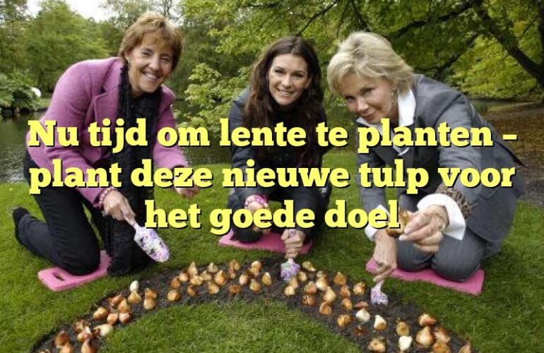 Nu tijd om lente te planten – plant deze nieuwe tulp voor het goede doel