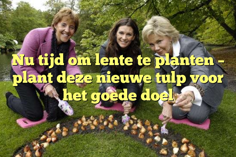 Nu tijd om lente te planten – plant deze nieuwe tulp voor het goede doel