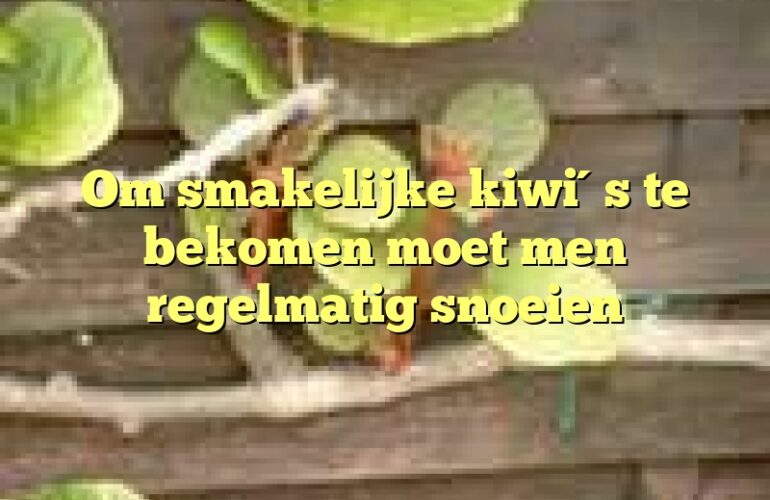 Om smakelijke kiwi´s te bekomen moet men regelmatig snoeien