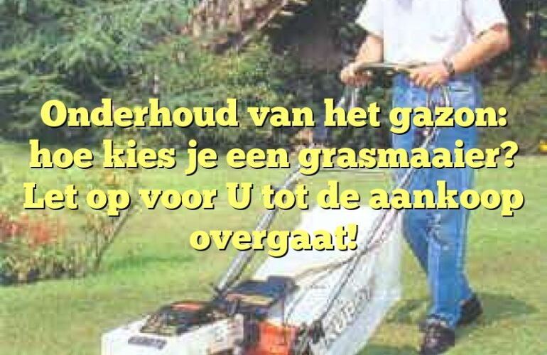 Onderhoud van het gazon: hoe kies je een grasmaaier?  Let op voor U tot de aankoop overgaat!