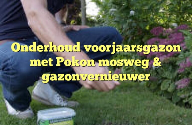 Onderhoud voorjaarsgazon met Pokon mosweg & gazonvernieuwer