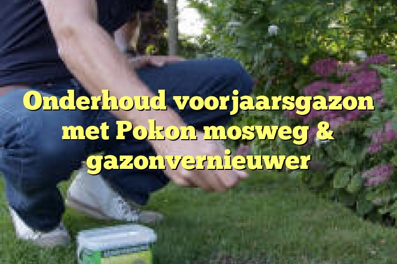 Onderhoud voorjaarsgazon met Pokon mosweg & gazonvernieuwer