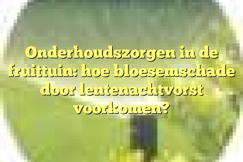 Onderhoudszorgen in de fruittuin: hoe bloesemschade door lentenachtvorst voorkomen?