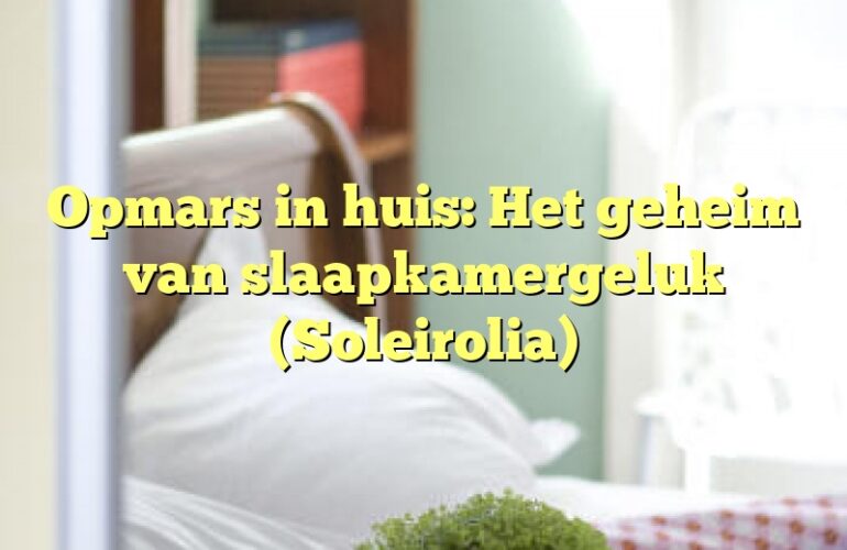 Opmars in huis: Het geheim van slaapkamergeluk (Soleirolia)