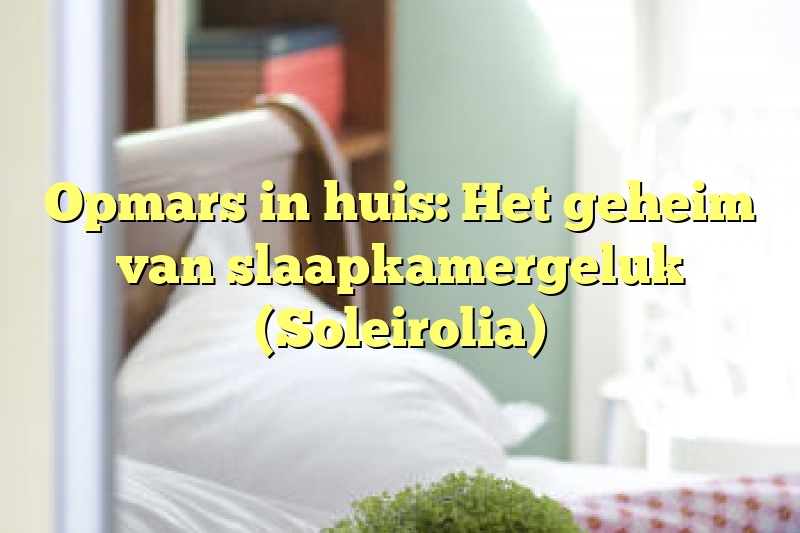 Opmars in huis: Het geheim van slaapkamergeluk (Soleirolia)