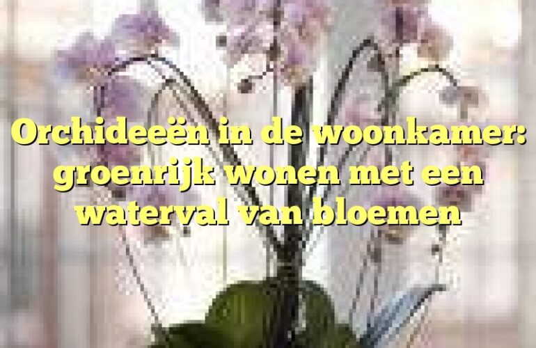 Orchideeën in de woonkamer: groenrijk wonen met een waterval van bloemen