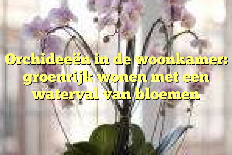 Orchideeën in de woonkamer: groenrijk wonen met een waterval van bloemen