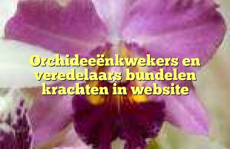 Orchideeënkwekers en veredelaars bundelen krachten in website