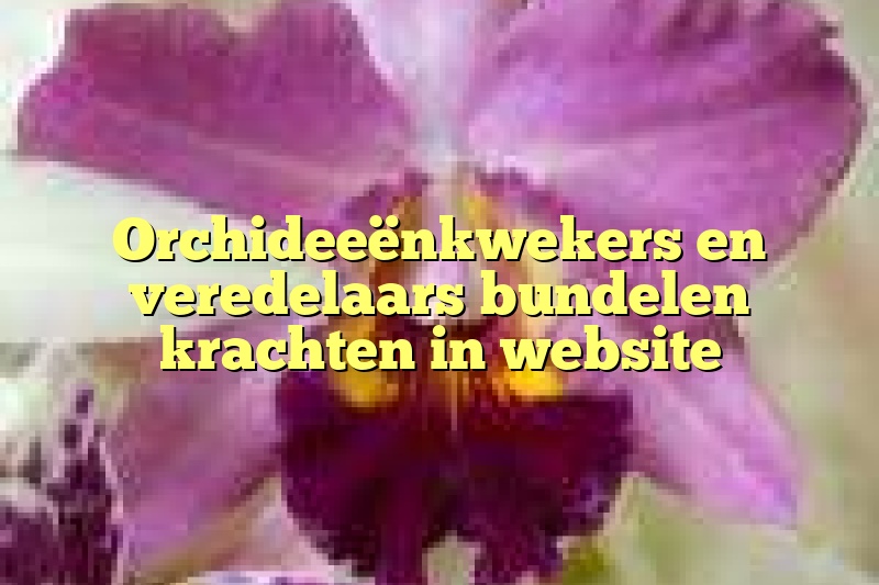 Orchideeënkwekers en veredelaars bundelen krachten in website