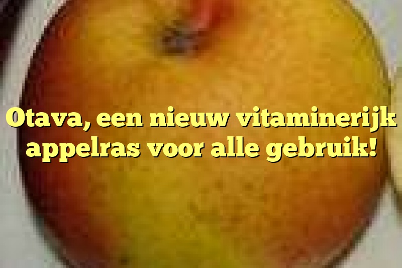 Otava, een nieuw vitaminerijk appelras voor alle gebruik!