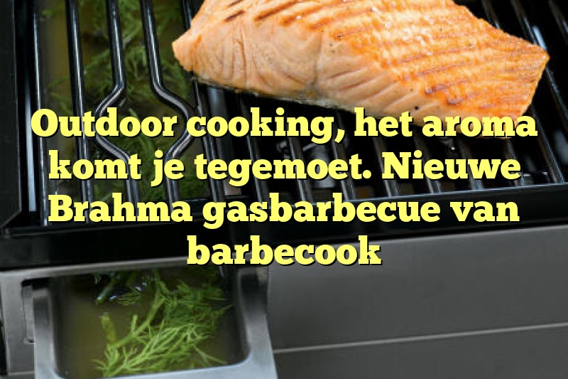 Outdoor cooking, het aroma komt je tegemoet. Nieuwe Brahma gasbarbecue van barbecook