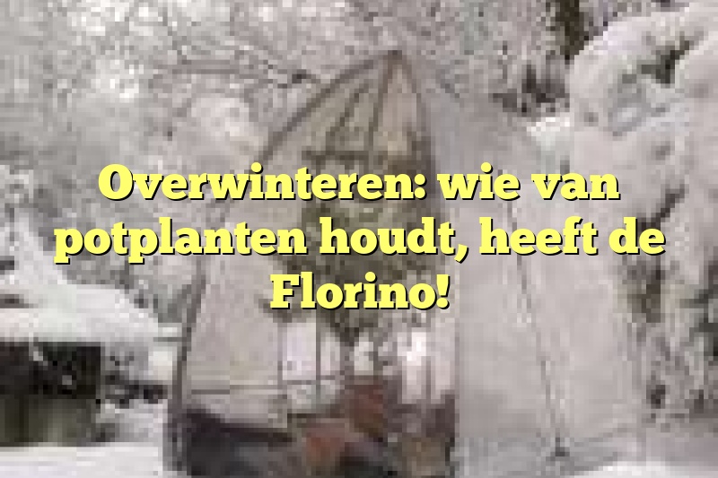 Overwinteren: wie van potplanten houdt, heeft de Florino!