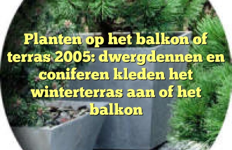 Planten op het balkon of terras 2005: dwergdennen en coniferen kleden het winterterras aan of het balkon