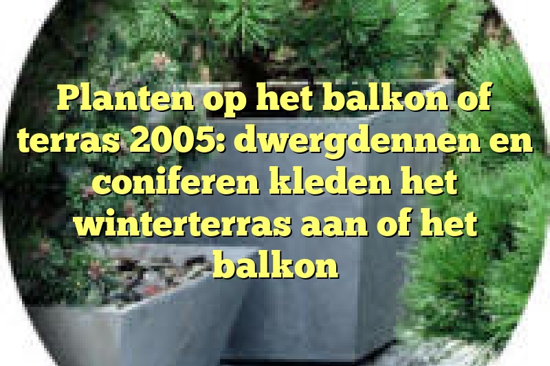 Planten op het balkon of terras 2005: dwergdennen en coniferen kleden het winterterras aan of het balkon