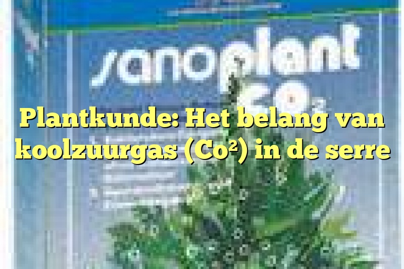 Plantkunde: Het belang van koolzuurgas (Co²) in de serre