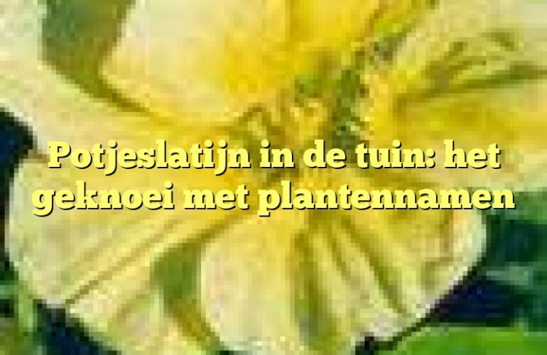 Potjeslatijn in de tuin: het geknoei met plantennamen